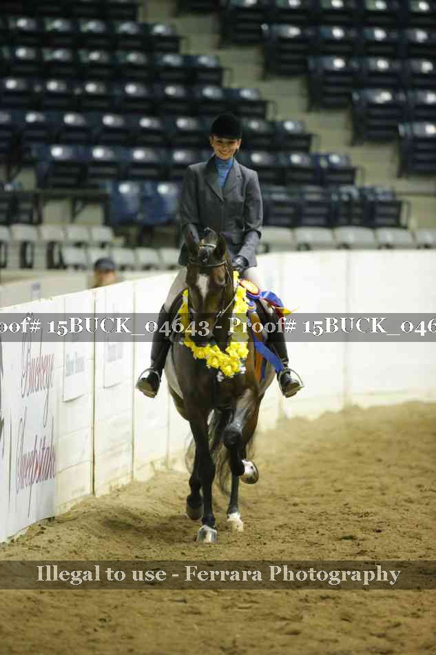 Proof 15BUCK_04643