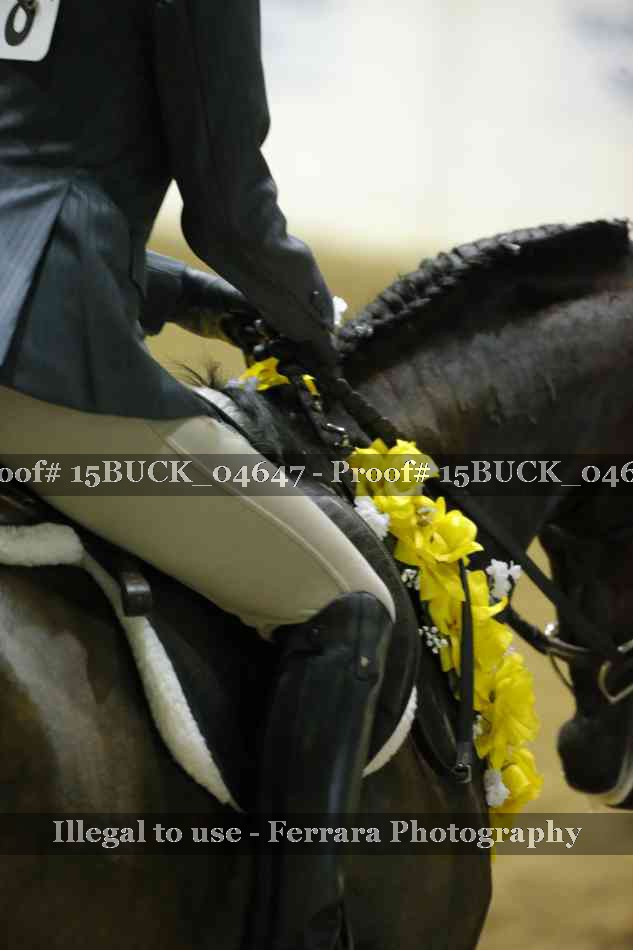 Proof 15BUCK_04647