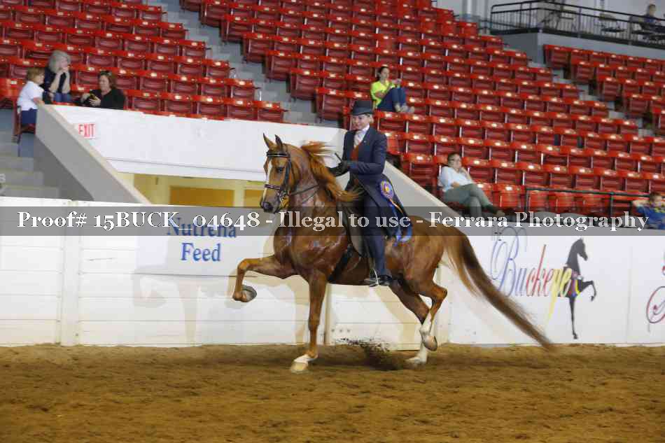 Proof 15BUCK_04648