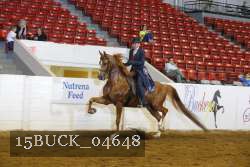 15BUCK_04648 proof