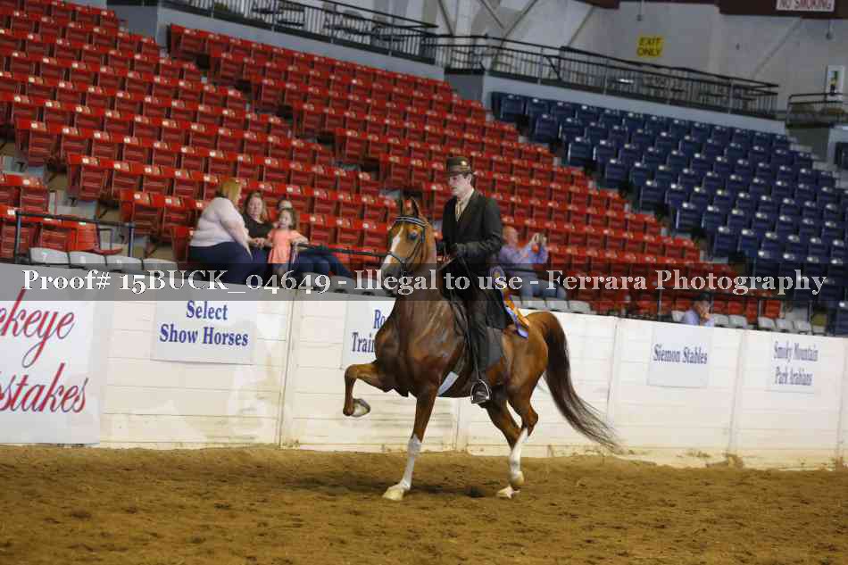 Proof 15BUCK_04649