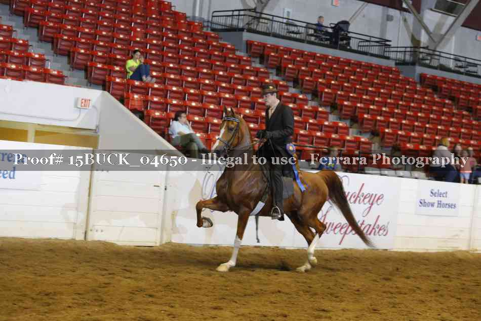 Proof 15BUCK_04650