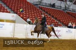 15BUCK_04650 proof