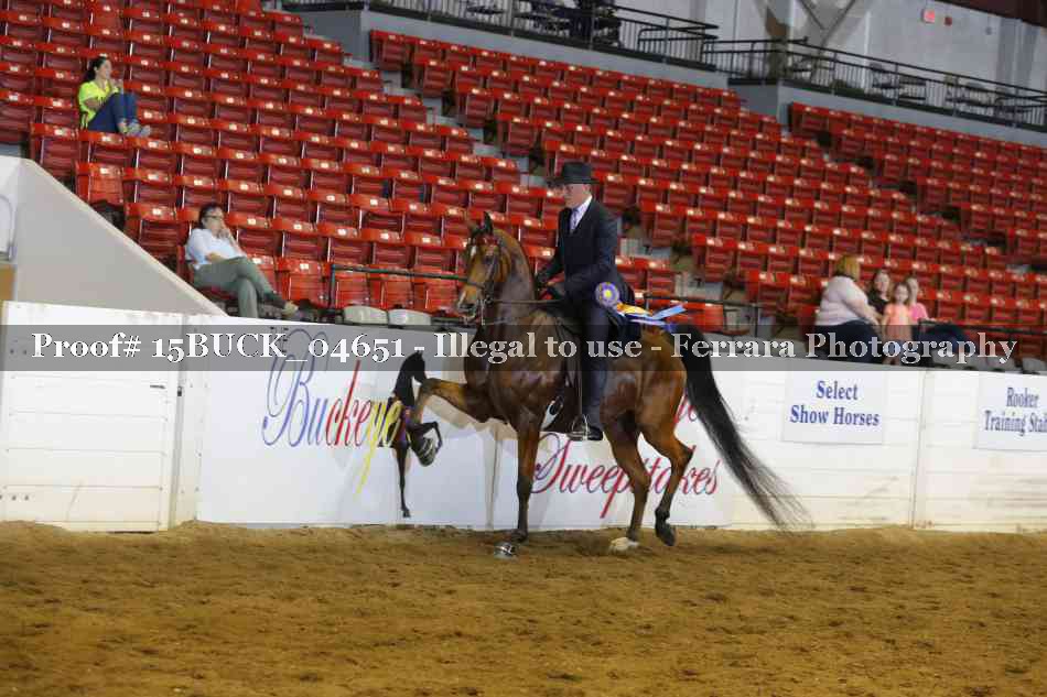 Proof 15BUCK_04651