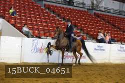15BUCK_04651 proof