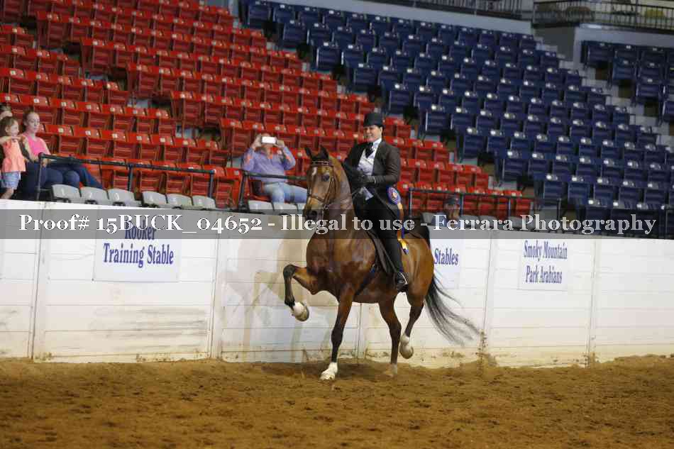 Proof 15BUCK_04652