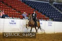 15BUCK_04652 proof