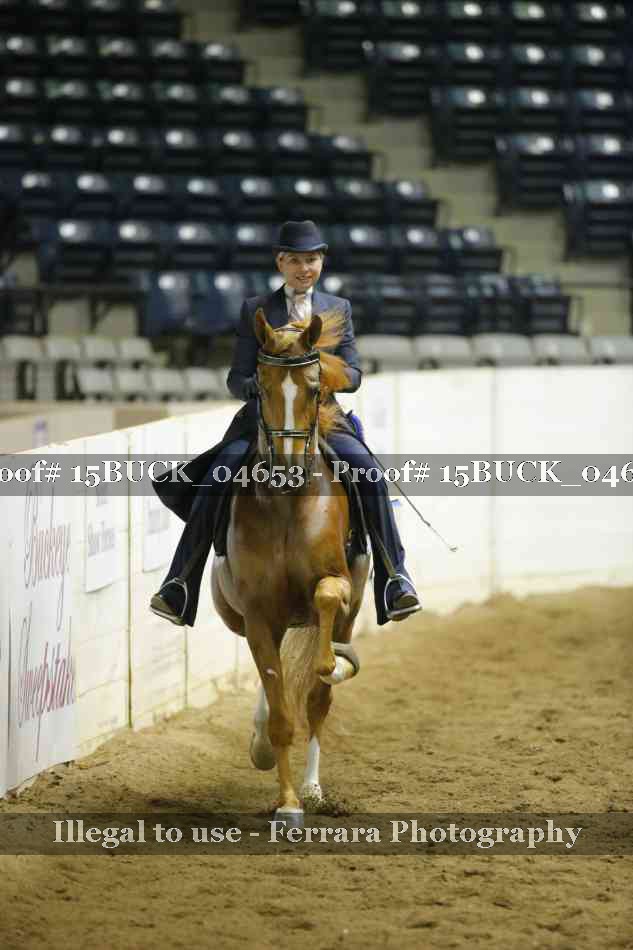 Proof 15BUCK_04653