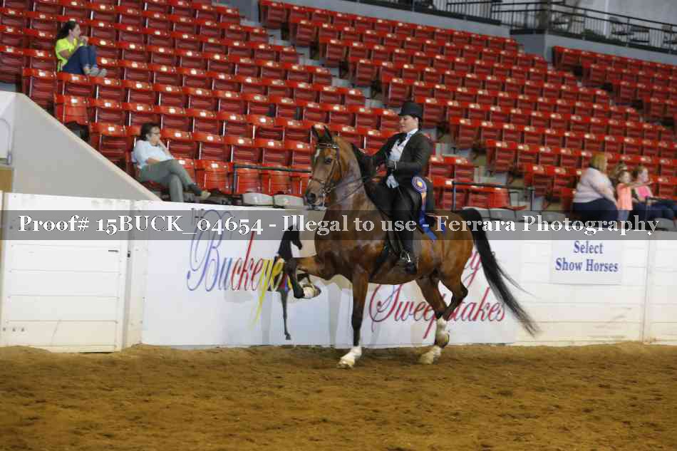 Proof 15BUCK_04654