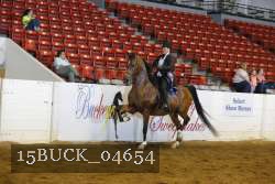 15BUCK_04654 proof