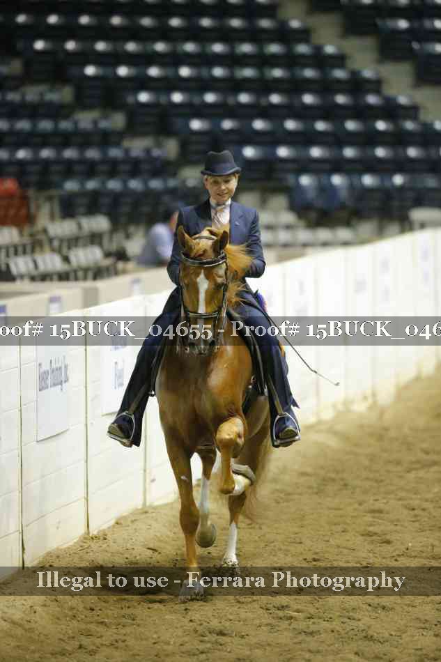 Proof 15BUCK_04655