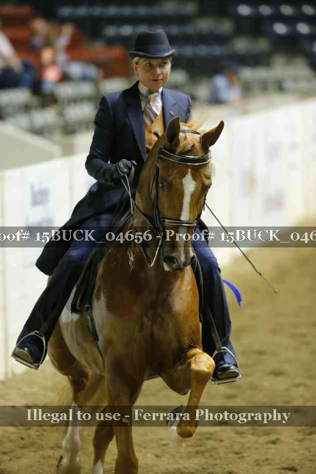 Proof 15BUCK_04656