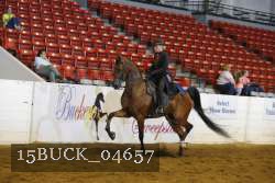 15BUCK_04657 proof