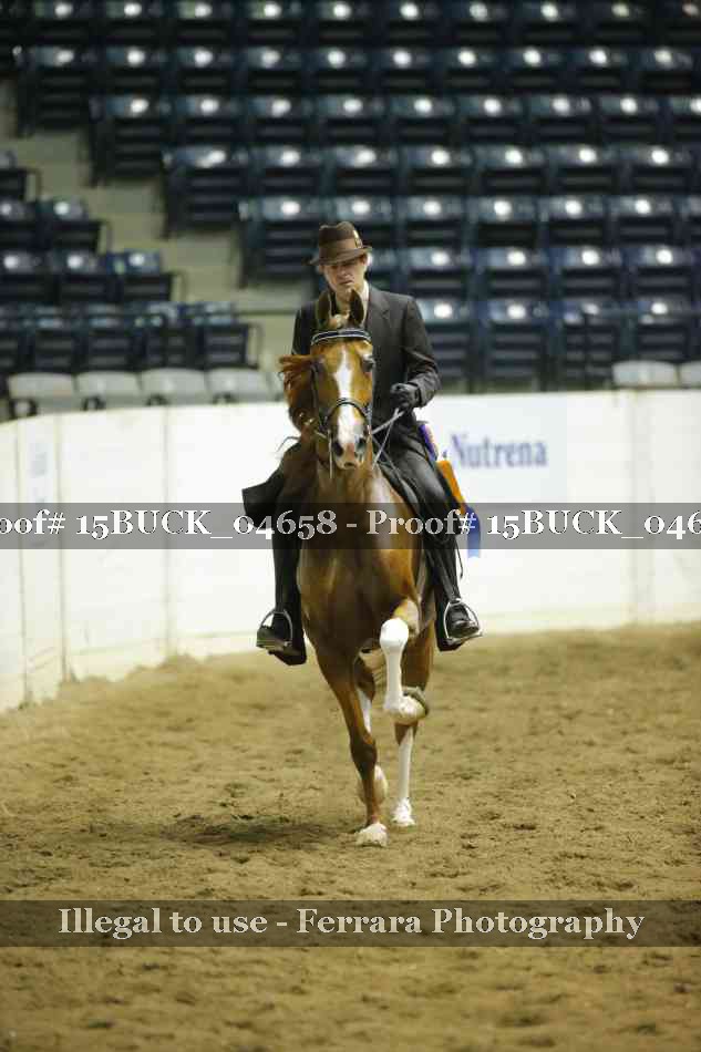 Proof 15BUCK_04658