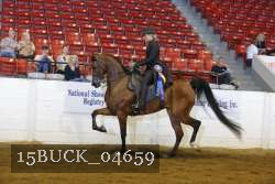 15BUCK_04659 proof