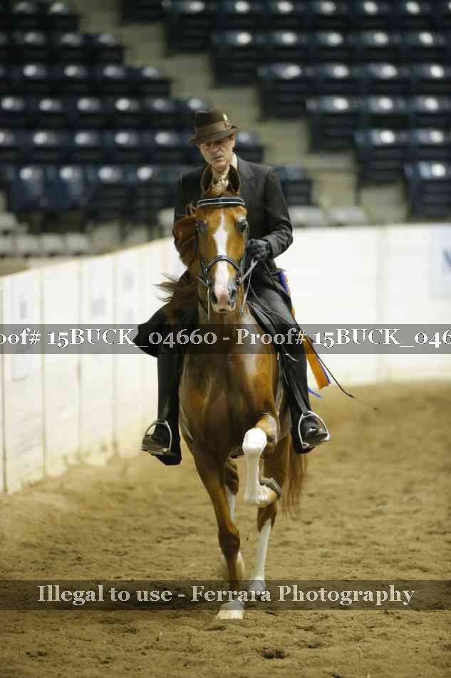 Proof 15BUCK_04660