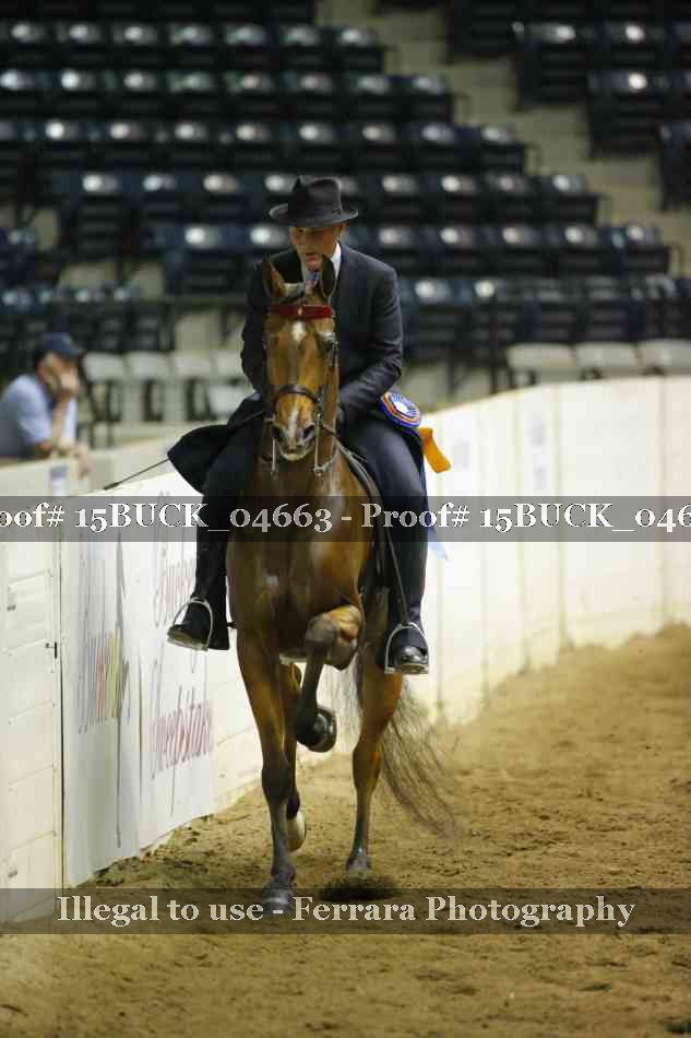 Proof 15BUCK_04663