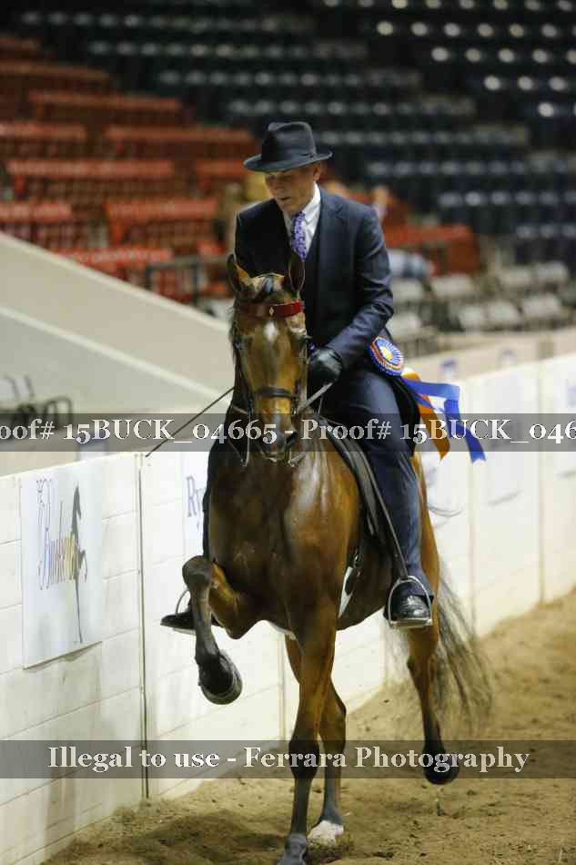 Proof 15BUCK_04665