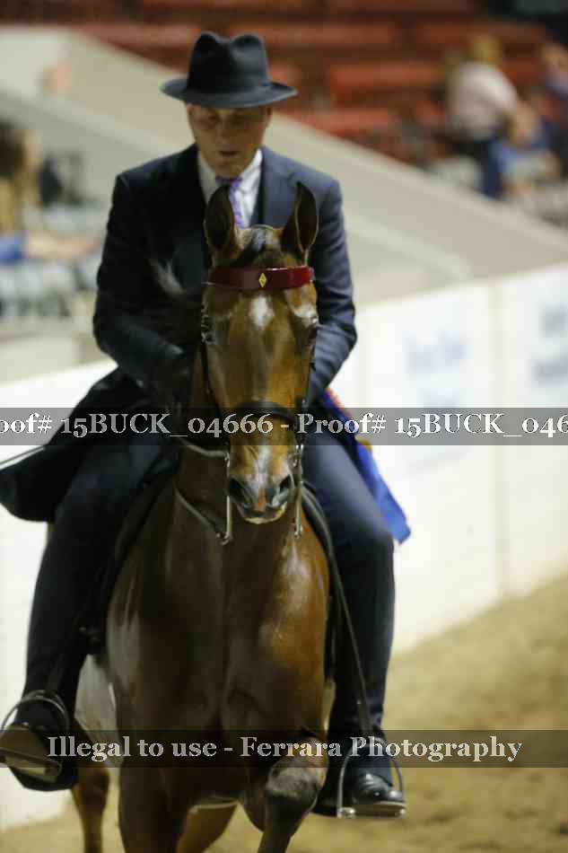 Proof 15BUCK_04666