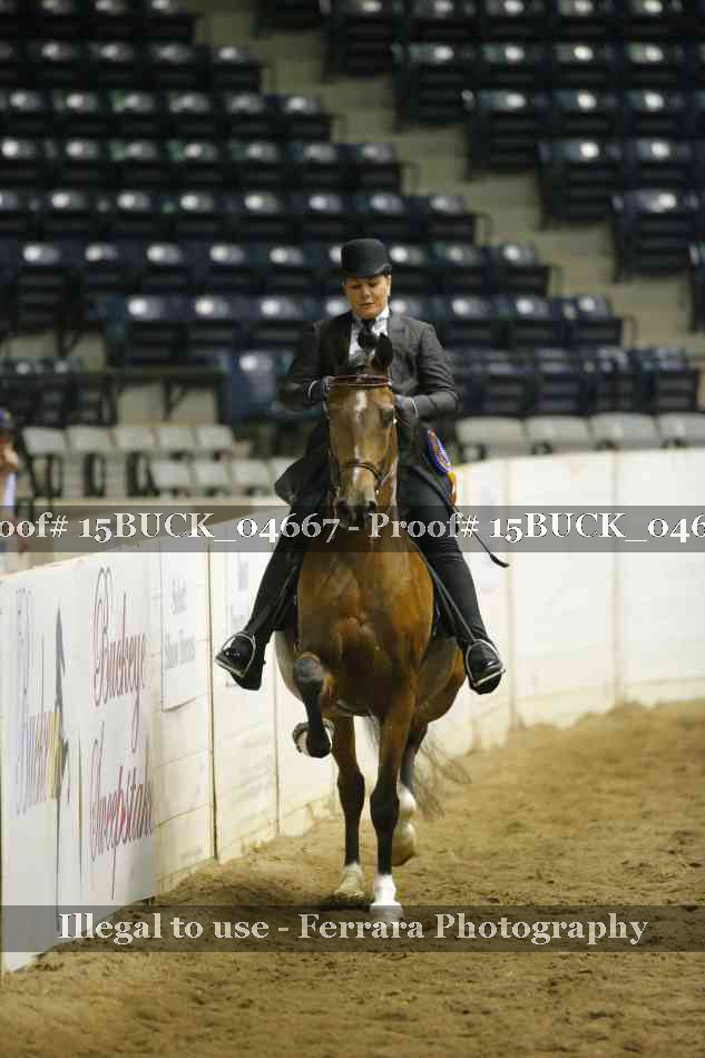 Proof 15BUCK_04667