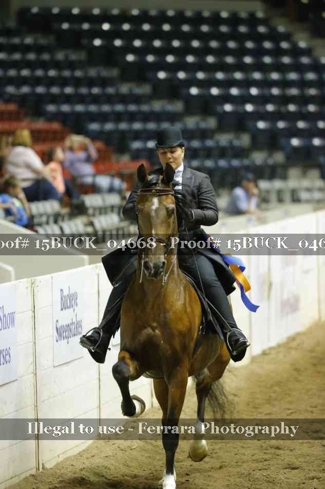 Proof 15BUCK_04668