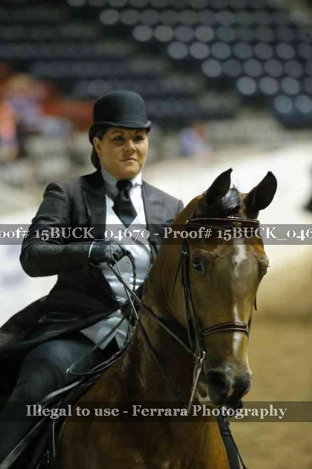 Proof 15BUCK_04670