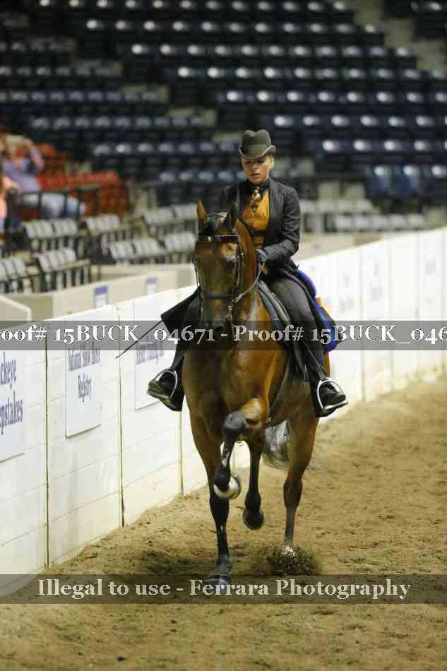 Proof 15BUCK_04671