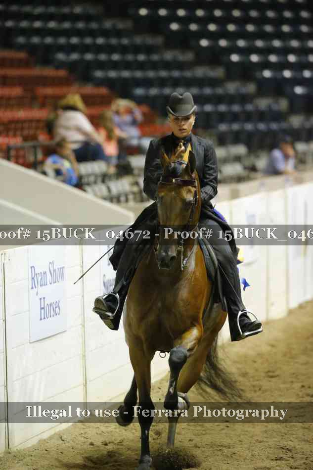 Proof 15BUCK_04672