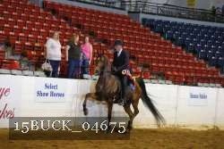 15BUCK_04675 proof