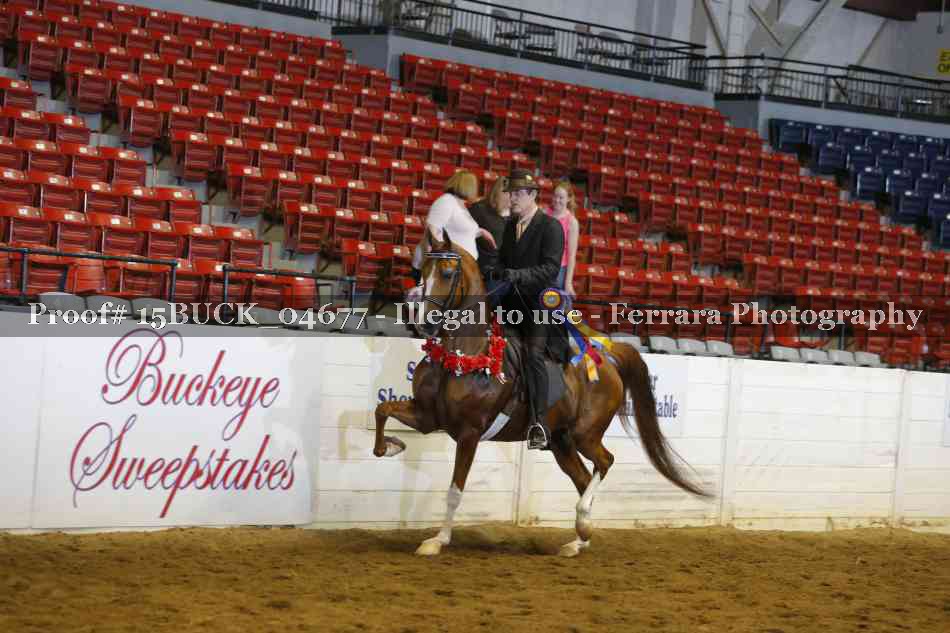 Proof 15BUCK_04677