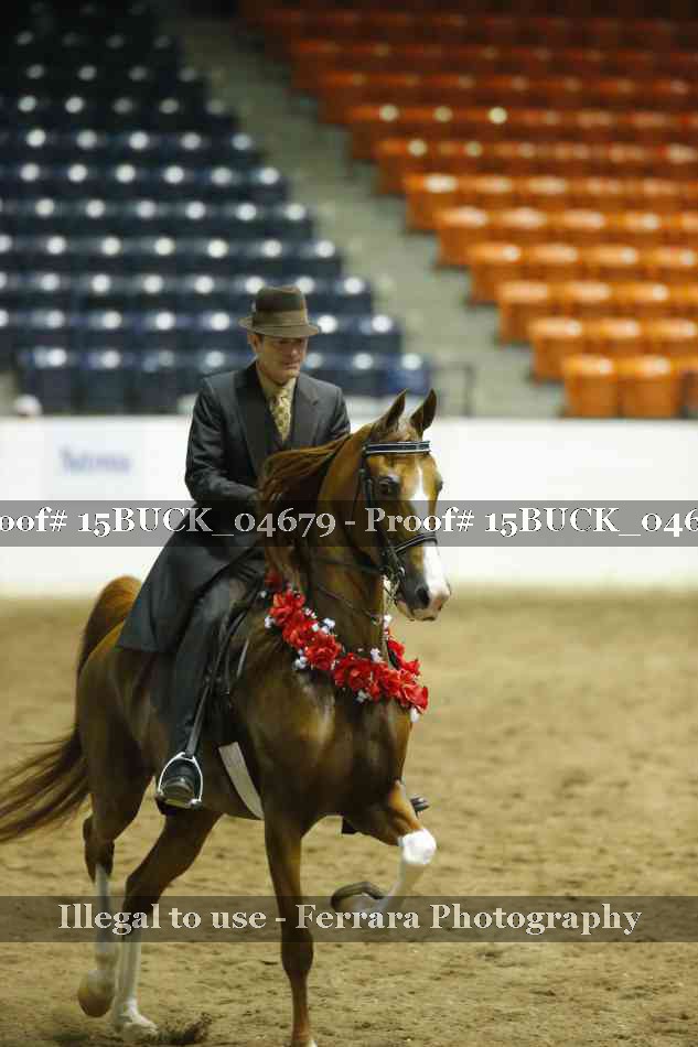 Proof 15BUCK_04679