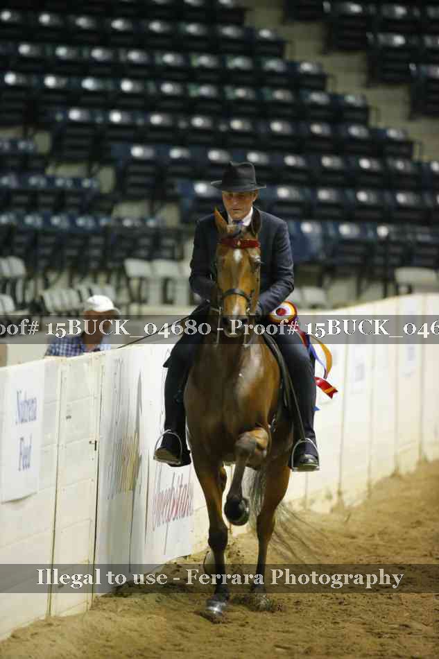 Proof 15BUCK_04680