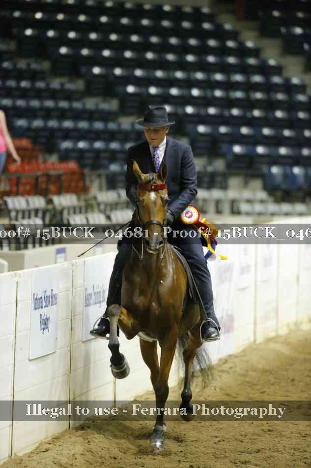 Proof 15BUCK_04681