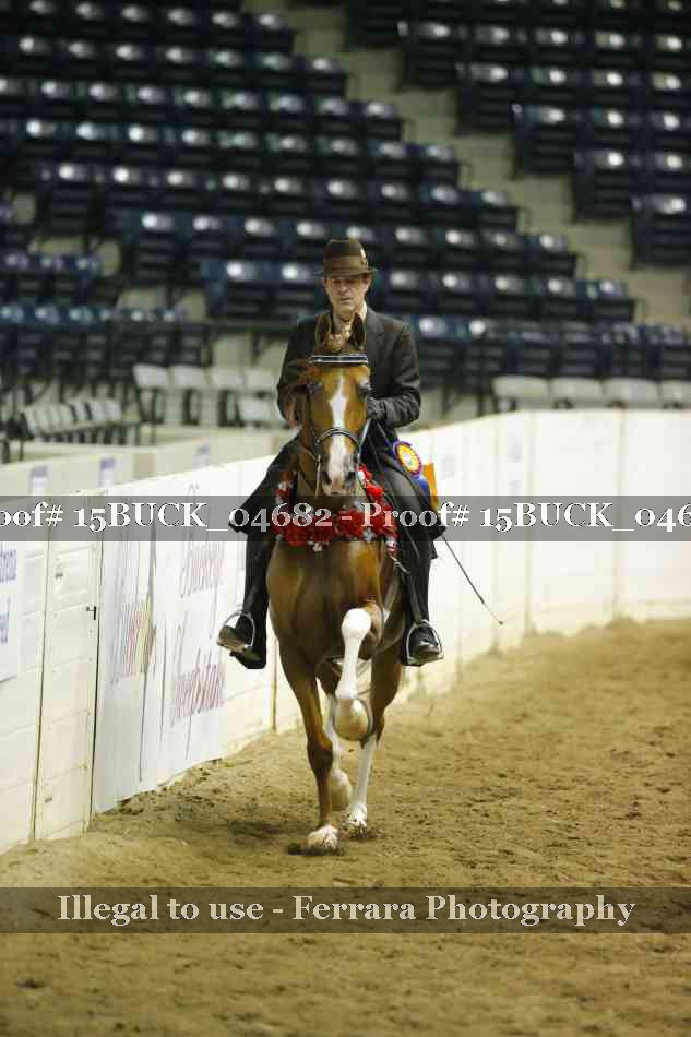 Proof 15BUCK_04682