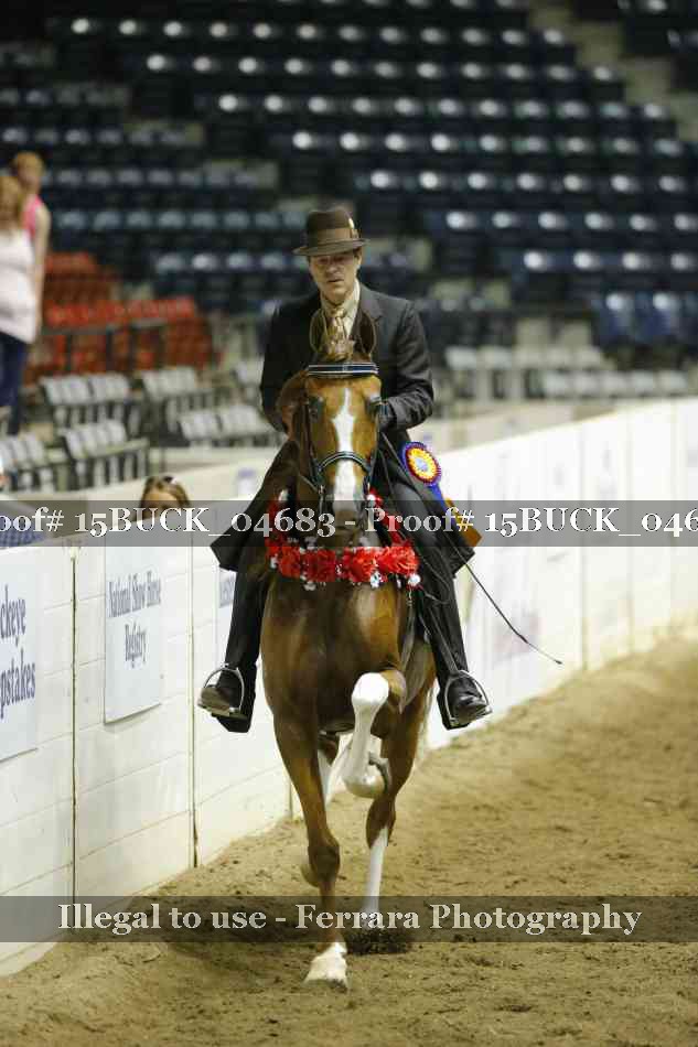 Proof 15BUCK_04683