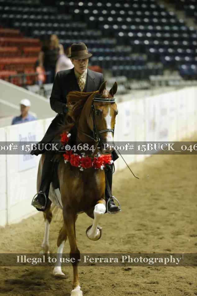 Proof 15BUCK_04684