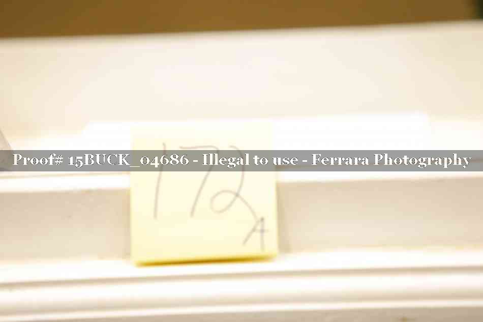 Proof 15BUCK_04686