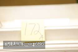 15BUCK_04686 proof