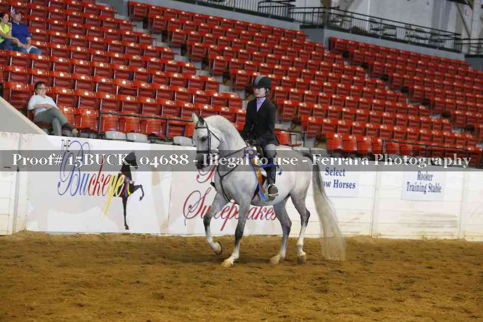 Proof 15BUCK_04688