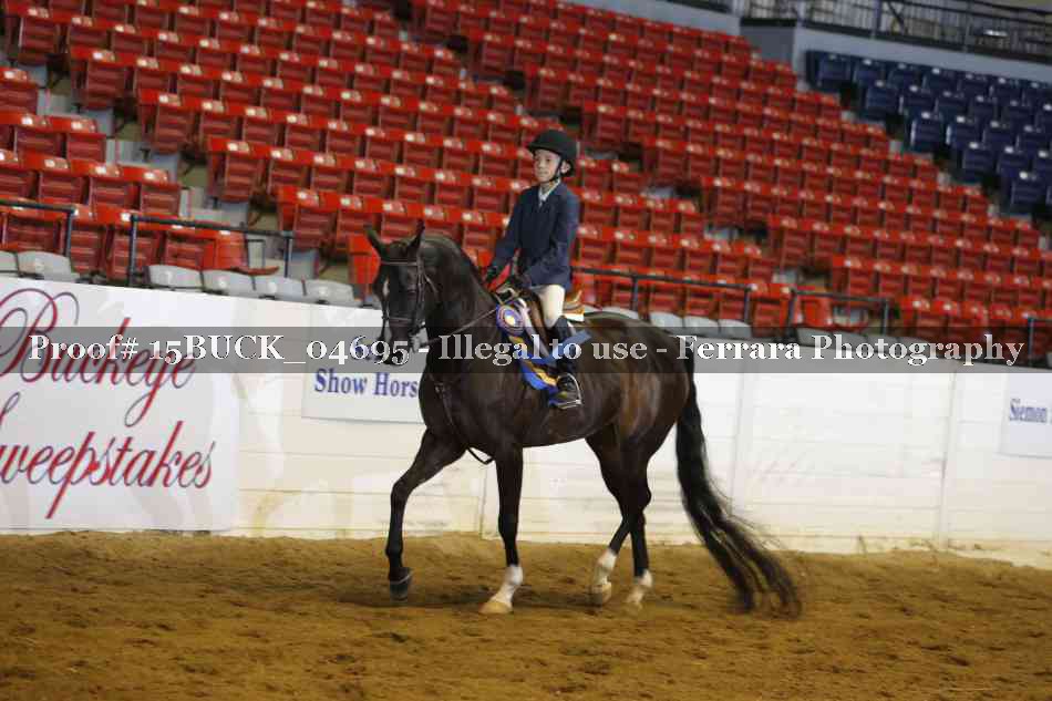 Proof 15BUCK_04695