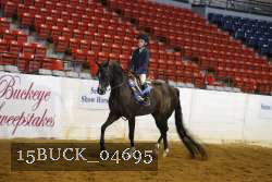 15BUCK_04695 proof