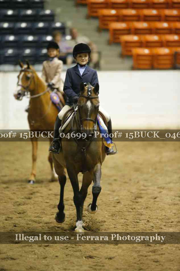 Proof 15BUCK_04699