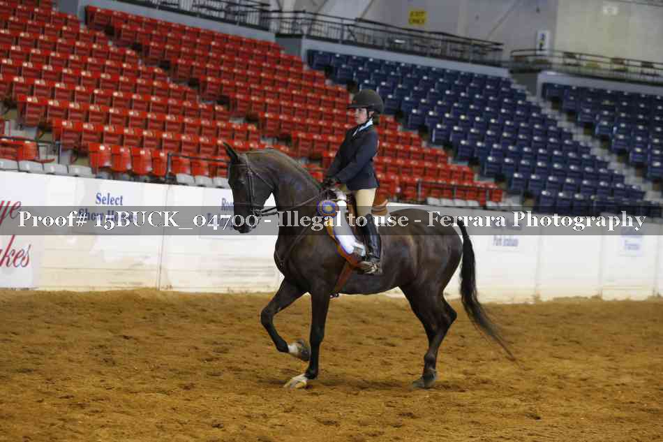 Proof 15BUCK_04700