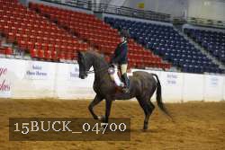 15BUCK_04700 proof