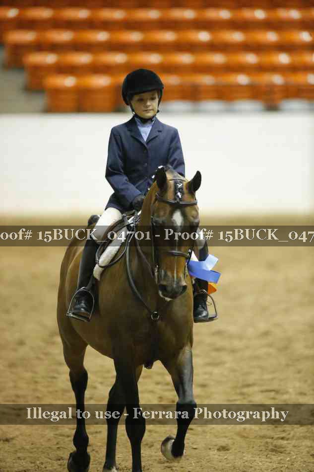 Proof 15BUCK_04701