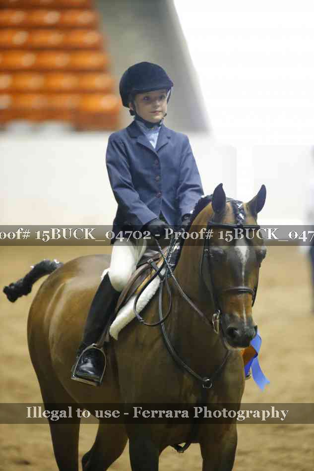 Proof 15BUCK_04702