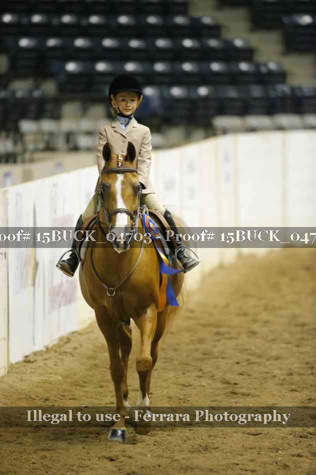 Proof 15BUCK_04703