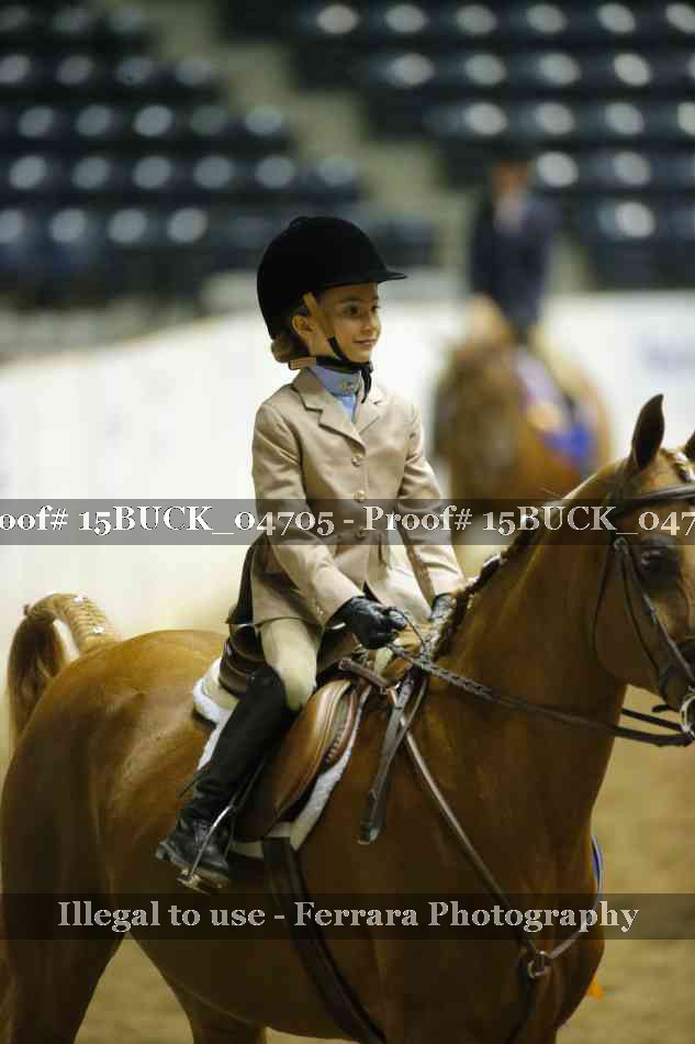 Proof 15BUCK_04705