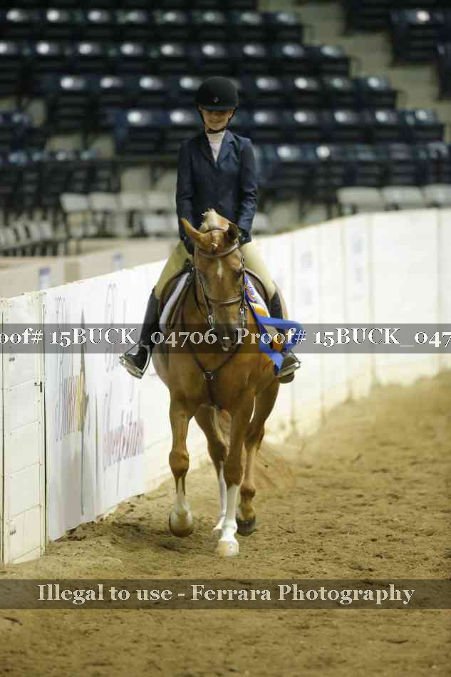 Proof 15BUCK_04706
