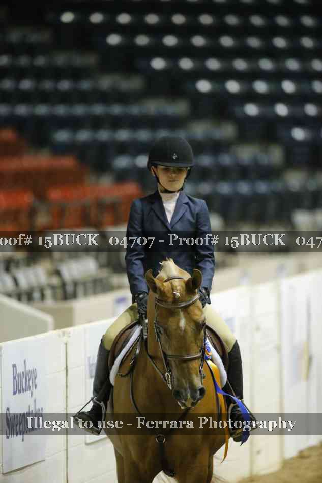 Proof 15BUCK_04707